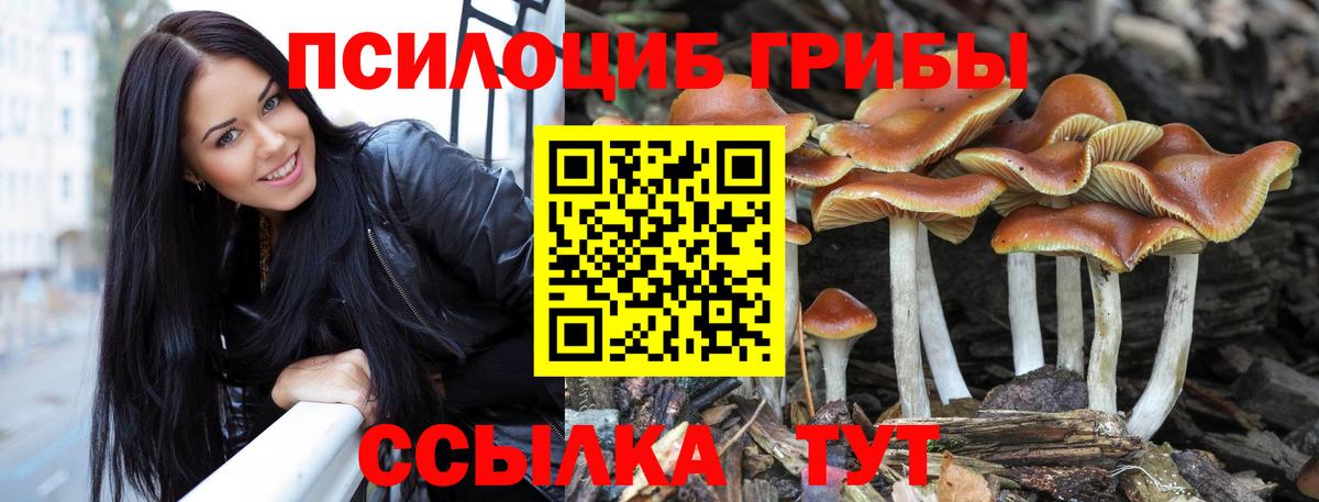 Галлюциногенные грибы мухоморы Осинники